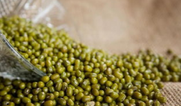 今日入伏吃三肉三瓜三粥,三肉三瓜三粥，健康度伏攻略