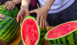 丽水今日吃瓜新闻,今日吃瓜新闻揭秘惊人内幕