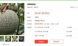 今日吃大瓜小说,揭秘小说中的惊天秘密与情感纠葛