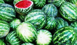 今日吃瓜群众吃瓜次数多少,吃瓜群众瓜量排行榜揭晓